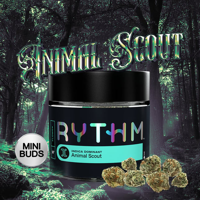 Animal Scout - Image 2