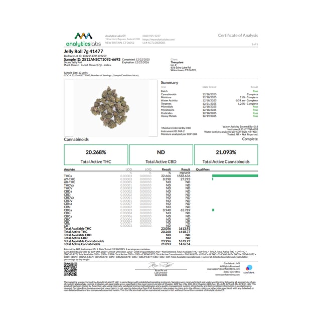 Theraplant - Jelly Roll (I) Flower C0040001477 - Image 3 Theraplant - Jelly Roll (I) Flower C0040001477 - Image 3