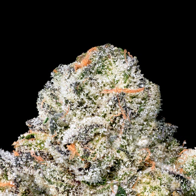 Black Diamond X Pre-Roll [1g] - Image 5