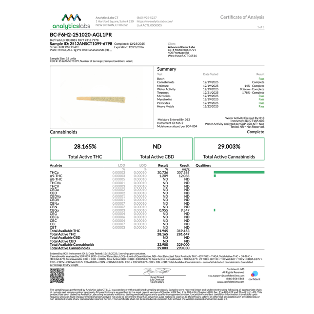 AGL - Bananaconda (H) 1g Pre-Roll 1pk (1g) C0010001182 - Image 4