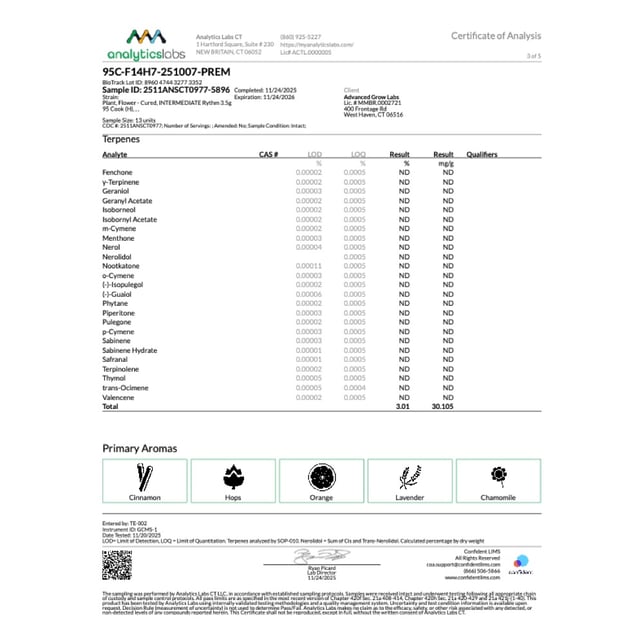 Rythm - 95 Cook (H) Flower C0010001108 - Image 6 Rythm - 95 Cook (H) Flower C0010001108 - Image 6