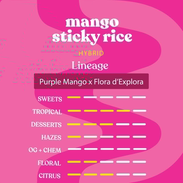 Mango Sticky Rice - Image 2 Mango Sticky Rice - Image 2