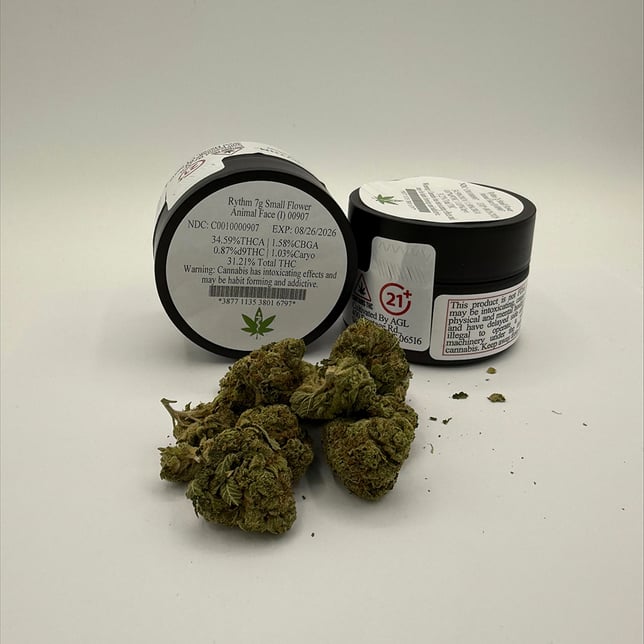 Rythm - Animal Face (I) Smalls C0010000907 - Image 2 Rythm - Animal Face (I) Smalls C0010000907 - Image 2