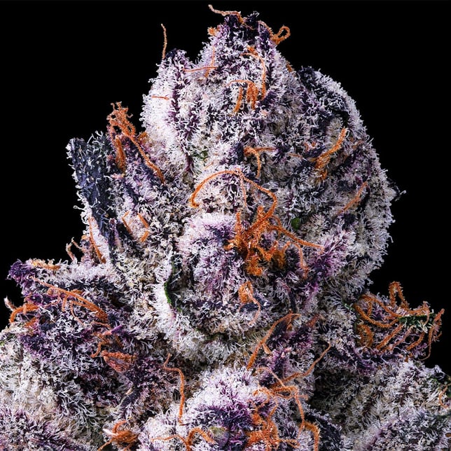 Chrome Dome [3.5g] - Image 4