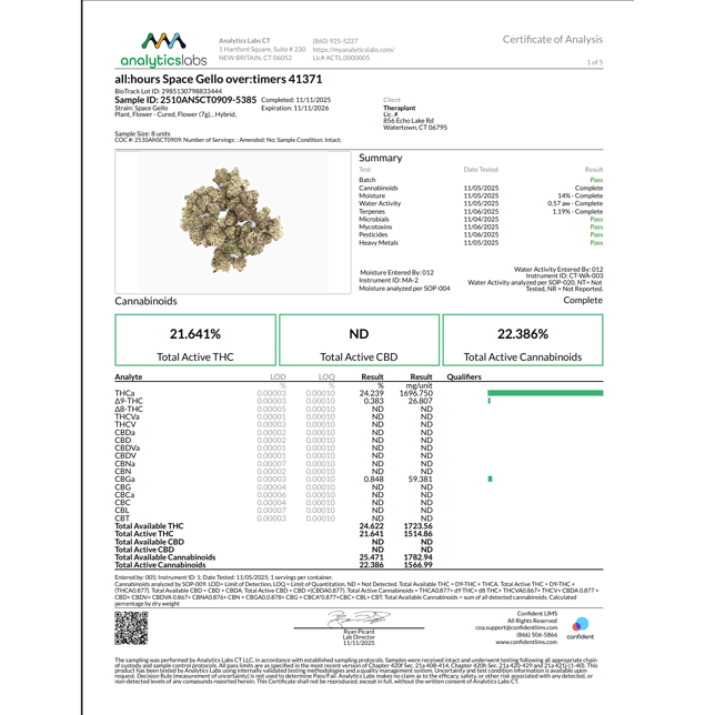 all:hours - Space Gello (H) over:timers Flower  C0040001371 *NP - Image 2