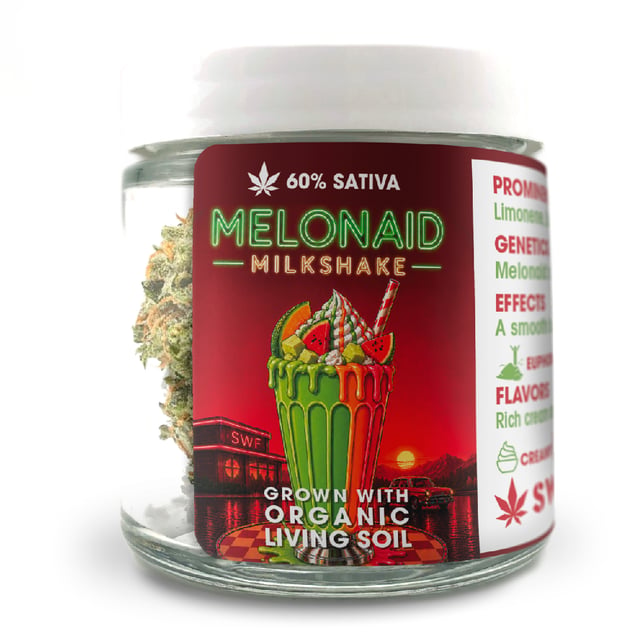 Melonaid Milkshake - Image 1 Melonaid Milkshake - Image 1