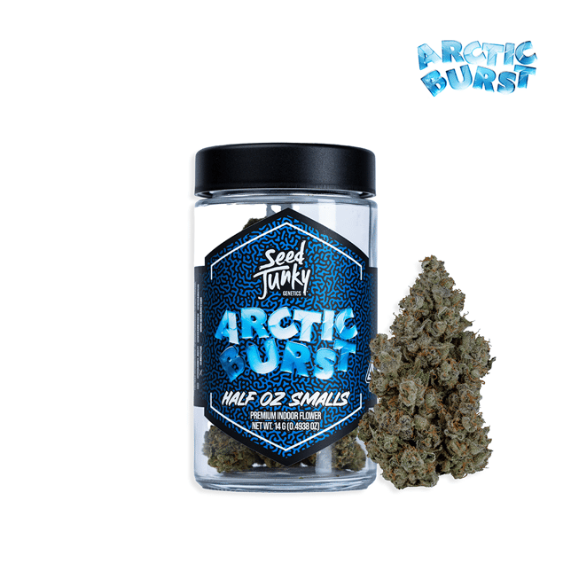 Arctic Burst - Image 2