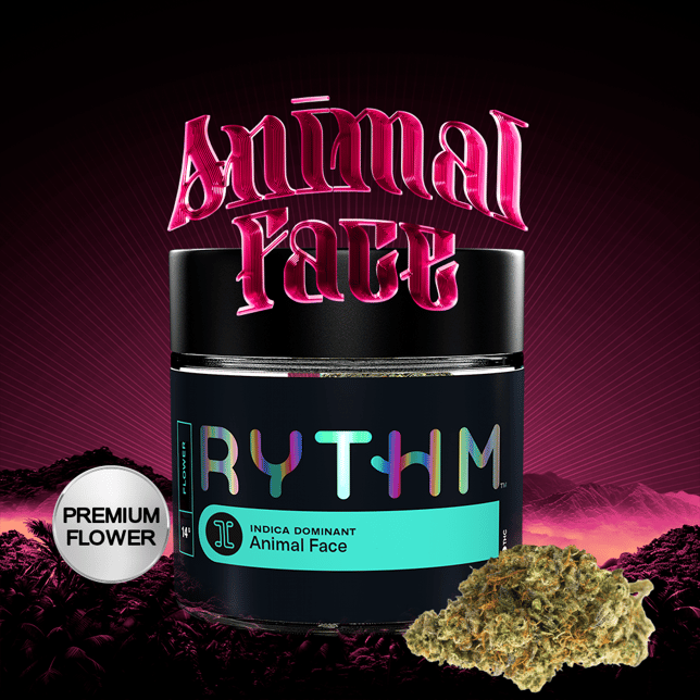 Animal Face - Image 5 Animal Face - Image 5