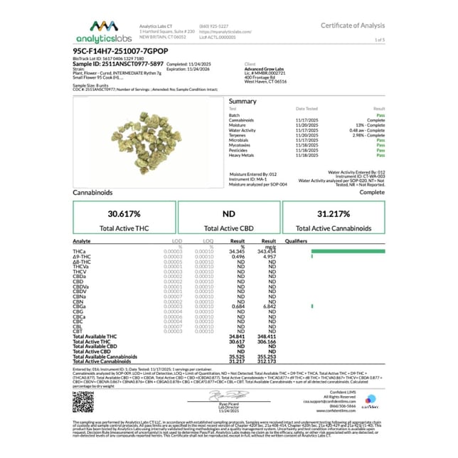 Rythm - 95 Cook (H) Smalls C0010001109 - Image 4 Rythm - 95 Cook (H) Smalls C0010001109 - Image 4