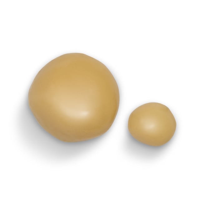 Circus Ring - Image 4