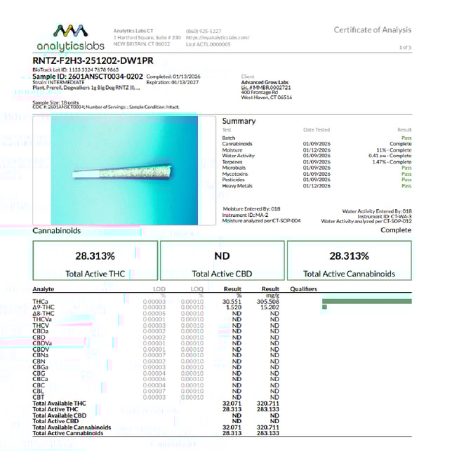 Dogwalkers - RNTZ (I) 1g Pre-Roll 1pk (1g) C0010001231 - Image 3