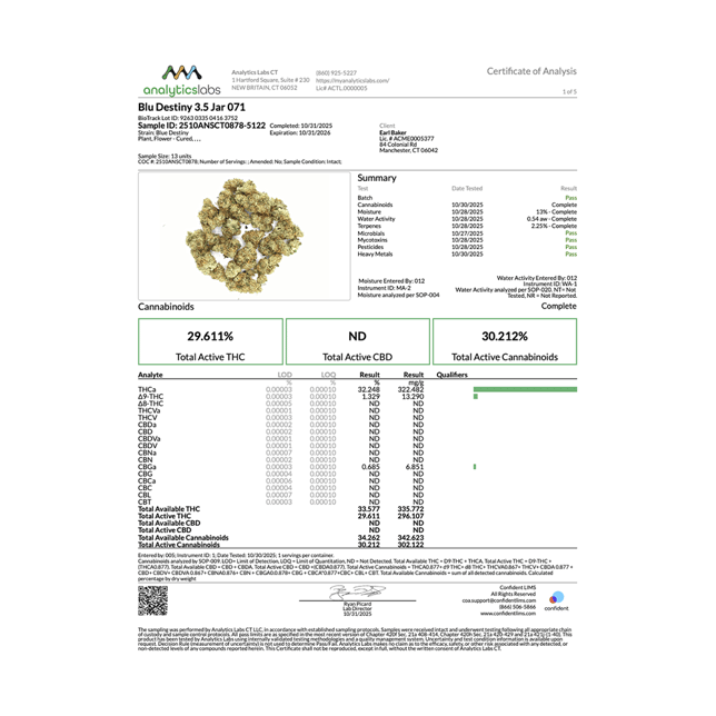 Earl Baker - Blu Destiny (H) Flower C0110000071 - Image 4 Earl Baker - Blu Destiny (H) Flower C0110000071 - Image 4