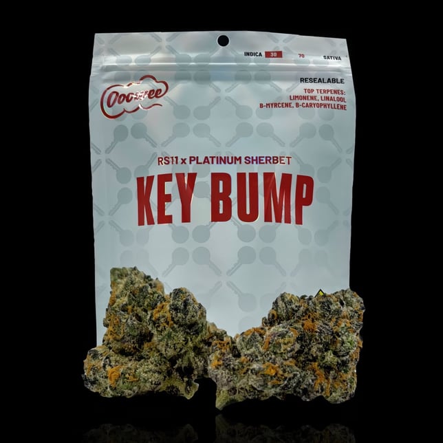 Key Bump - Image 1 Key Bump - Image 1