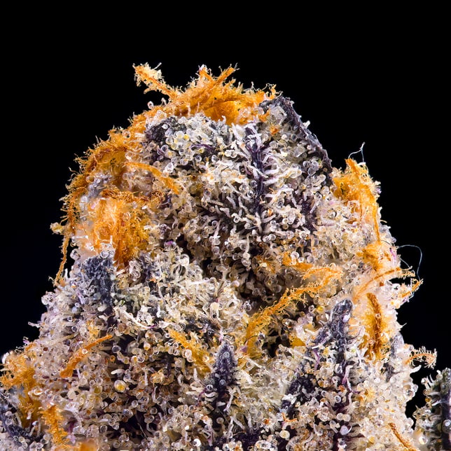 Blue Agapē - Image 6