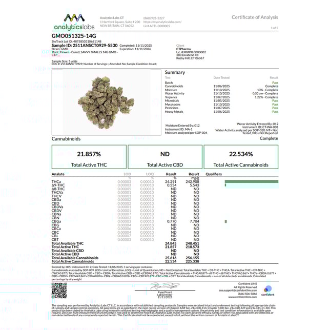 Savvy - GMO (I) Smalls  C0020026538 - Image 3