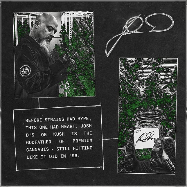 OG Kush by Josh D - Image 3 OG Kush by Josh D - Image 3