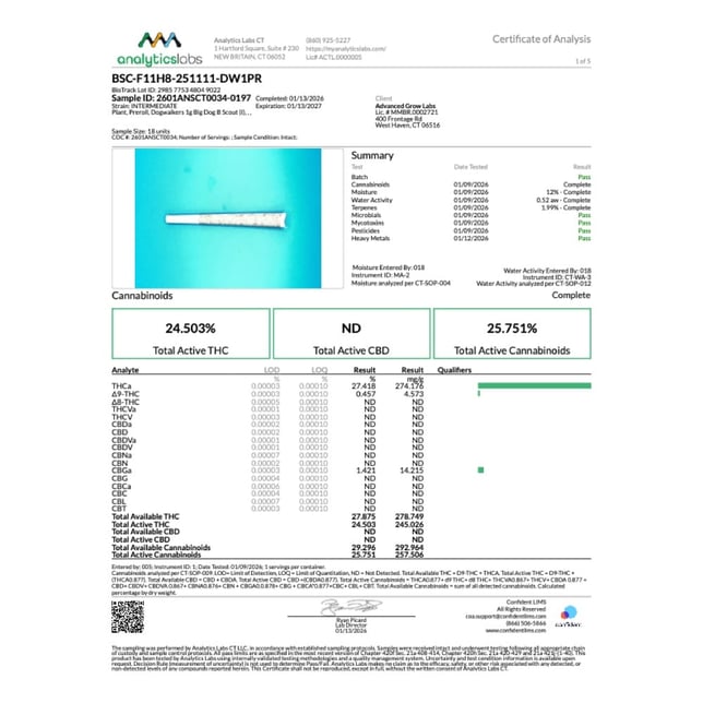 Dogwalkers - B Scout (I) 1g Pre-Roll 1pk (1g) C0010001229 - Image 4