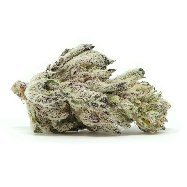 Blackberry Milkshake [.5g] - Image 2