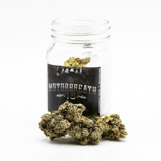 Motorbreath #15 - Image 1 Motorbreath #15 - Image 1