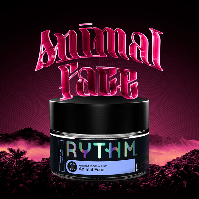 Animal Face - Image 1 Animal Face - Image 1