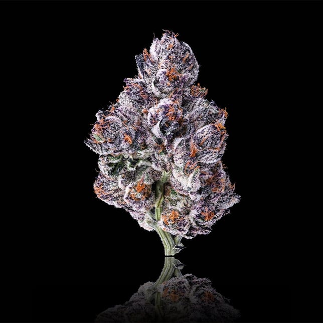 Chrome Dome Pre-Roll 5-Pack (2.5g) - Image 2