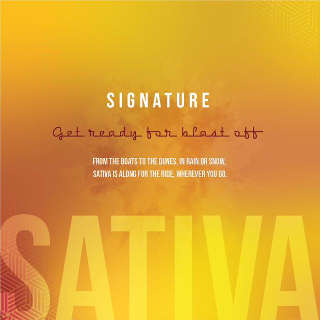 Batch | Cartridges | Signature Sativa Durban Poison | 1 g - Image 2 Batch | Cartridges | Signature Sativa Durban Poison | 1 g - Image 2