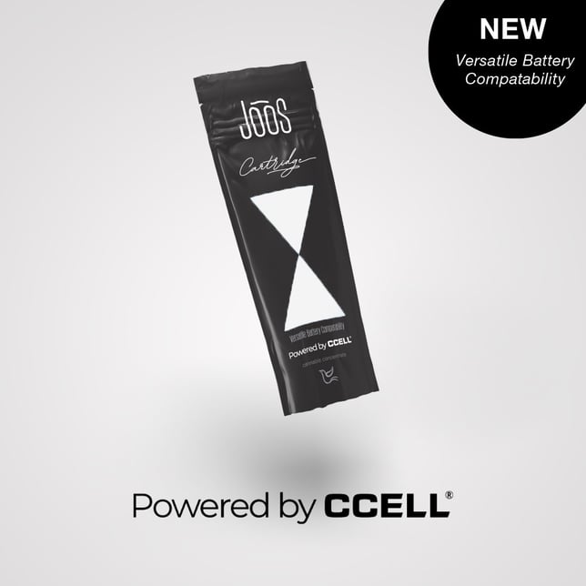 Northern Lights - Image 2 Northern Lights - Image 2