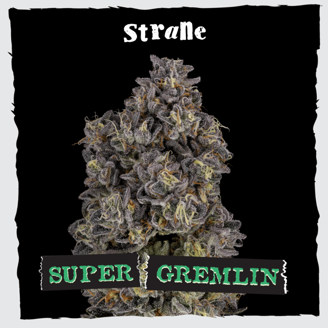 Super Gremlin [1000mg] - Image 3