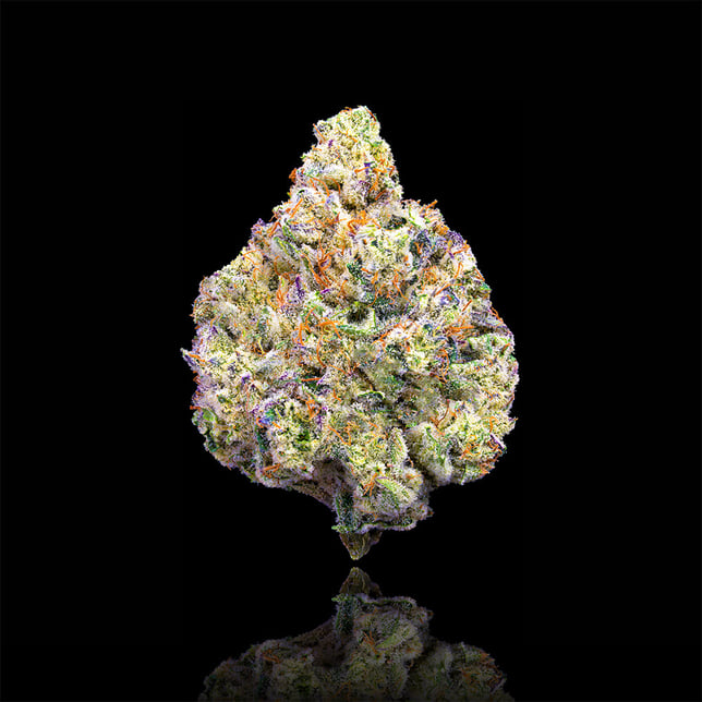 Pineapple Biscotti Pre-Roll 5-Pack [2.5g] - Image 2