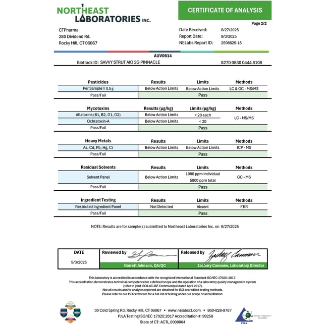 Savvy - Pinnacle (H) Strut Disposable Vape (2g) C0020026190 - Image 4