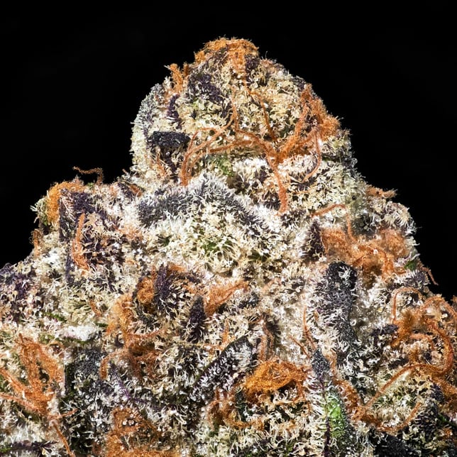 Blue Lotus Goldies Infused Pre-Rolls 5-Pack [3g] - Image 6