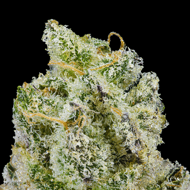 Paradiso Tropical Halo [1.9g] - Image 3