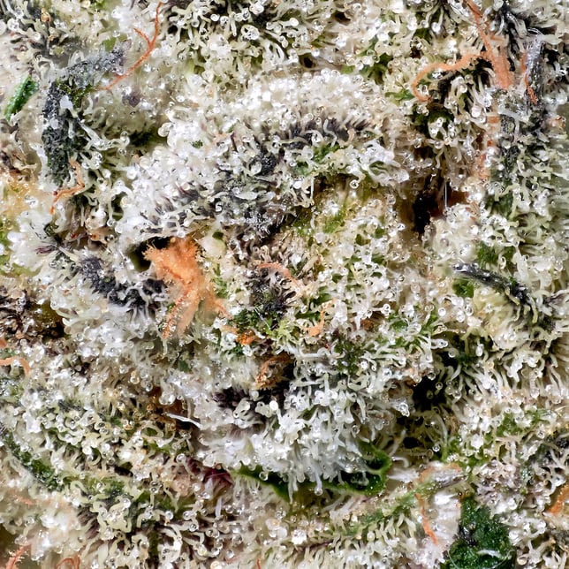 Black Diamond X [3.5g] - Image 7