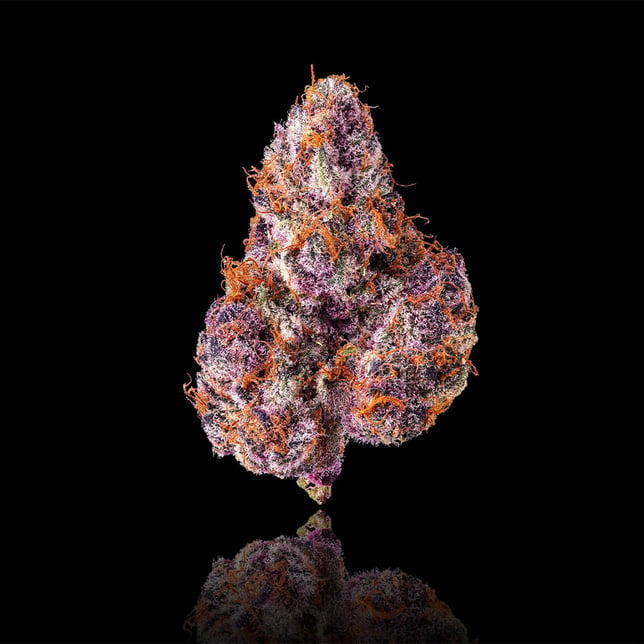 Lemon Cherry Tropicana Maven Minis [14g] - Image 2