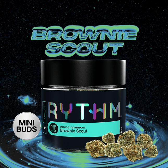 Brownie Scout - Image 2 Brownie Scout - Image 2