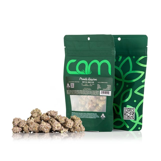 Devil Driver - Image 4