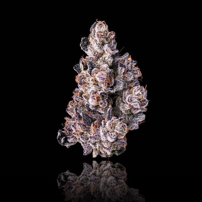 Dirty Laundry Pre-Roll 5-Pack [2.5g] - Image 2