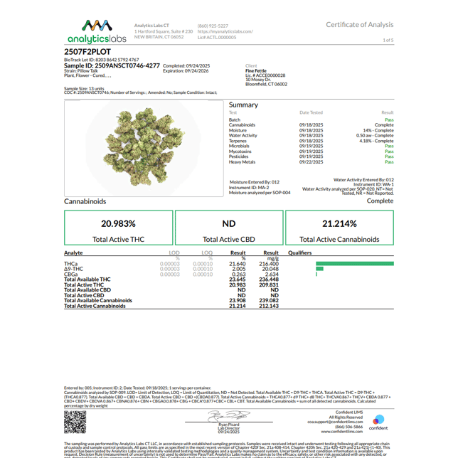 Comffy - Pillow Talk (I) Flower  C0140000077 - Image 3