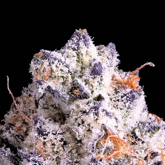 Shangri-La [3.5g] - Image 5