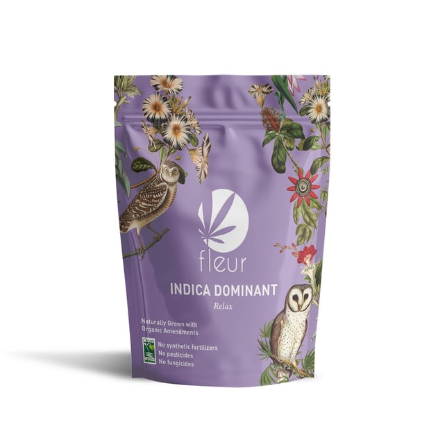 Tiger Head - Image 2 Tiger Head - Image 2