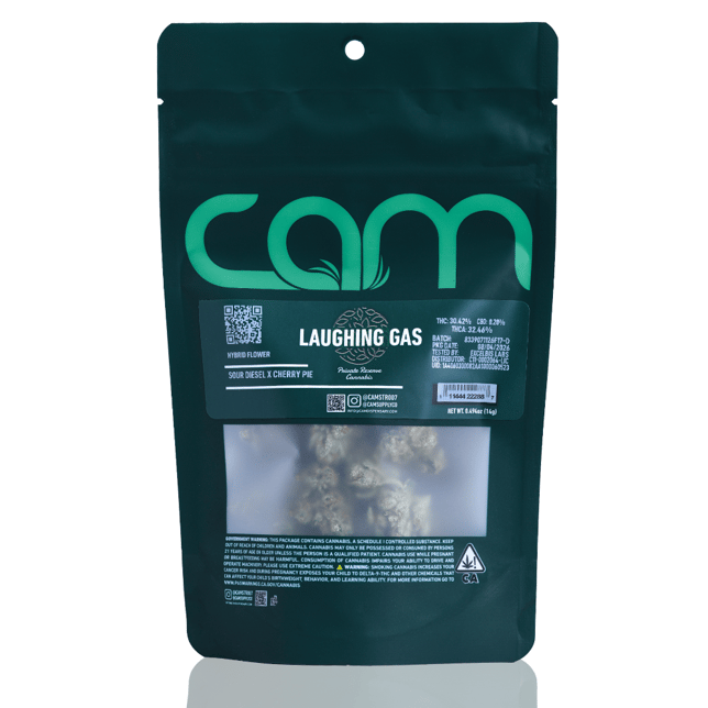 Laughing Gas - Image 3