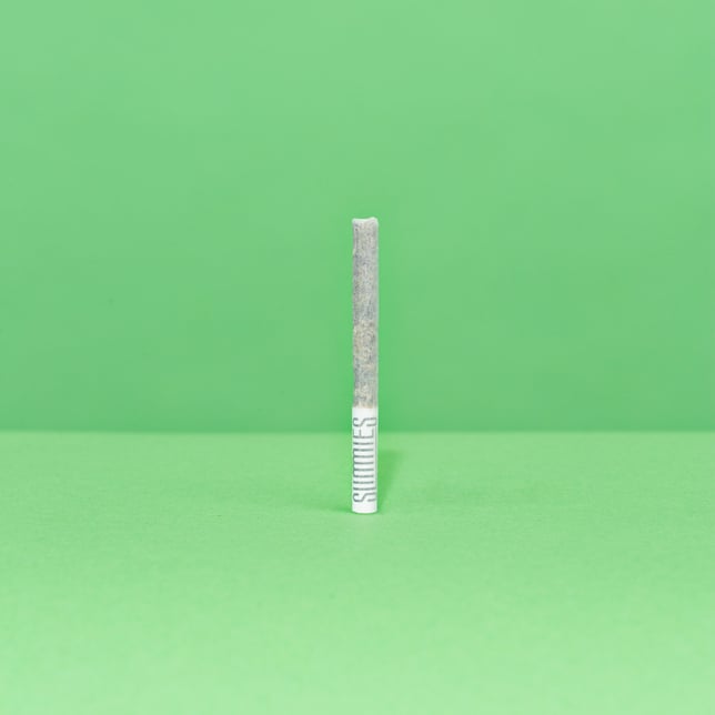 Sativa 10-pk | Mango Haze | 3.5g - Image 4 Sativa 10-pk | Mango Haze | 3.5g - Image 4