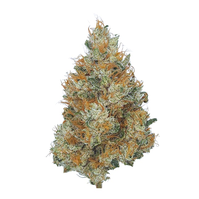 Sour Durban - Image 2 Sour Durban - Image 2