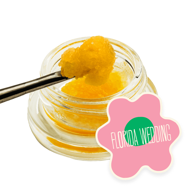 Florida Wedding - Image 2