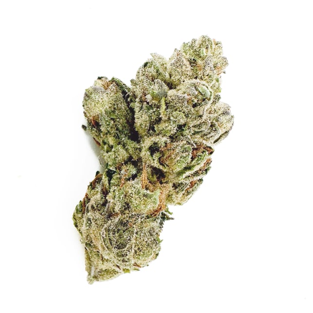 Super Glue - Image 4