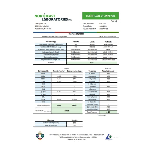 Theraplant - Gas Face (H) Flower  C0040001238 - Image 3