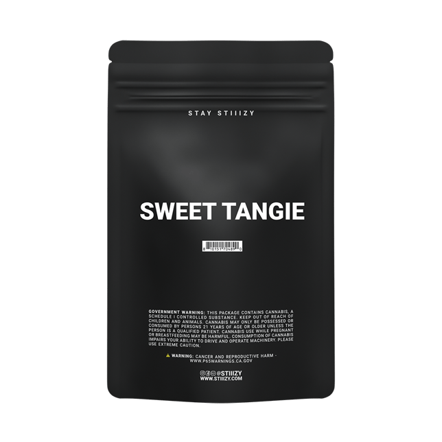 Sweet Tangie - Image 3