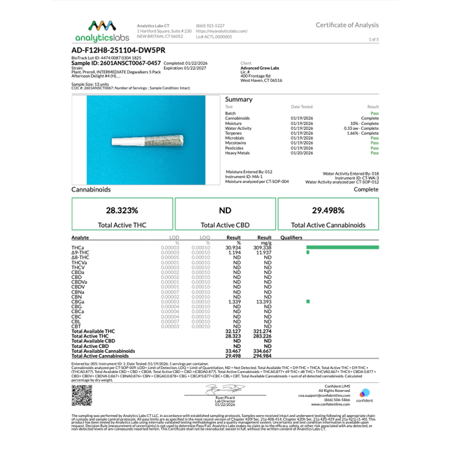 Dogwalkers - Afternoon Delight #4 (H) 0.35g Pre-Rolls 5pk (1.75g) C0010001279 - Image 4