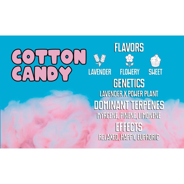 Cotton Candy - Image 1 Cotton Candy - Image 1