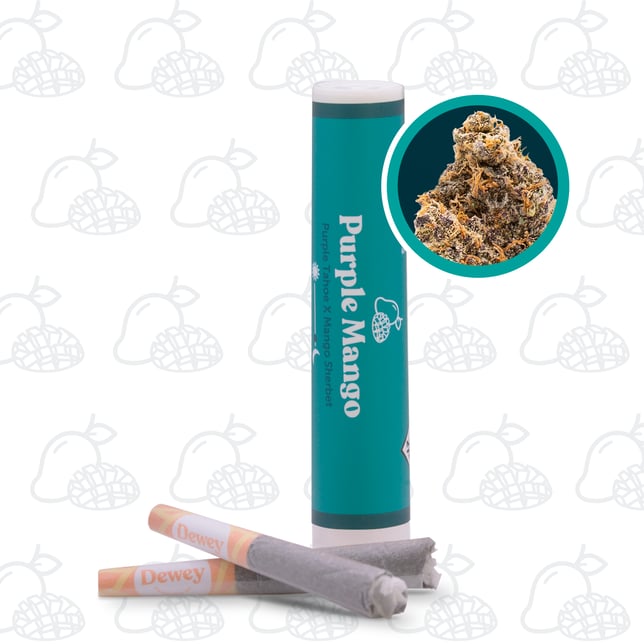 Purple Mango - [2 x 0.5g] - Image 1